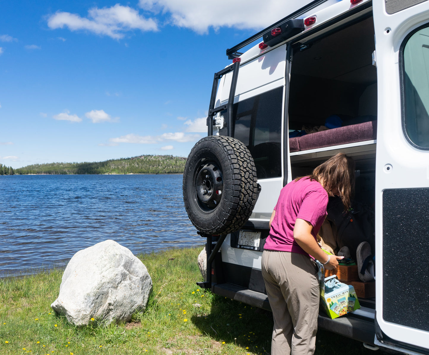 RAM ProMaster Ladder Tire Carrier