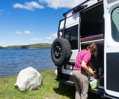 RAM ProMaster Ladder Tire Carrier
